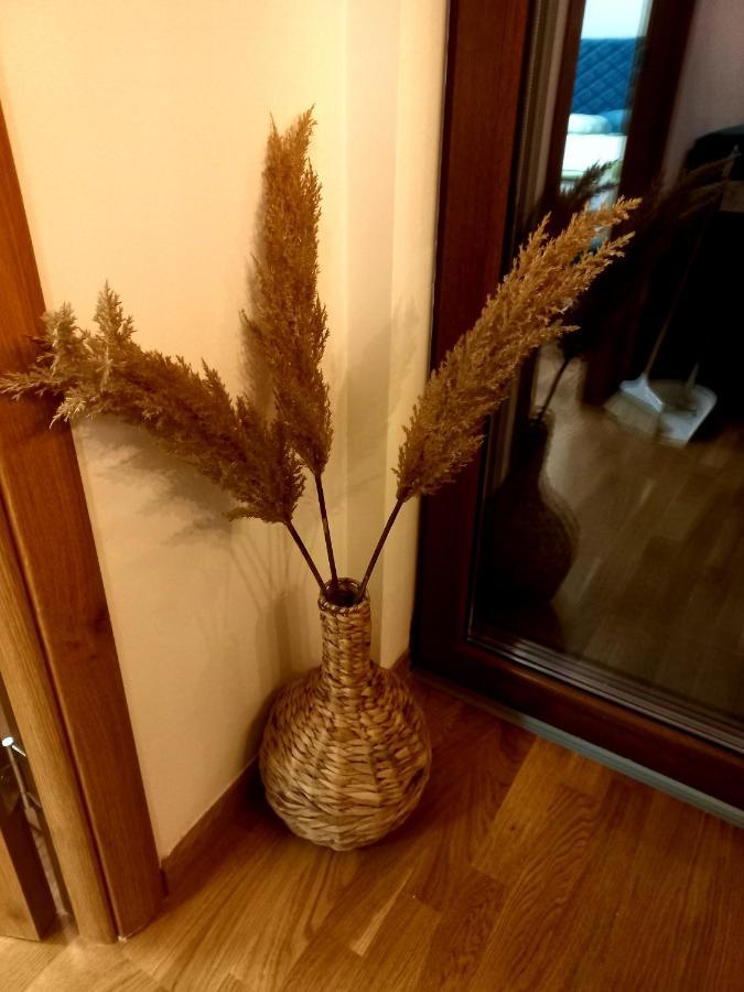 Zlatibor Apartman Luxury & Spa Dijana ภายนอก รูปภาพ