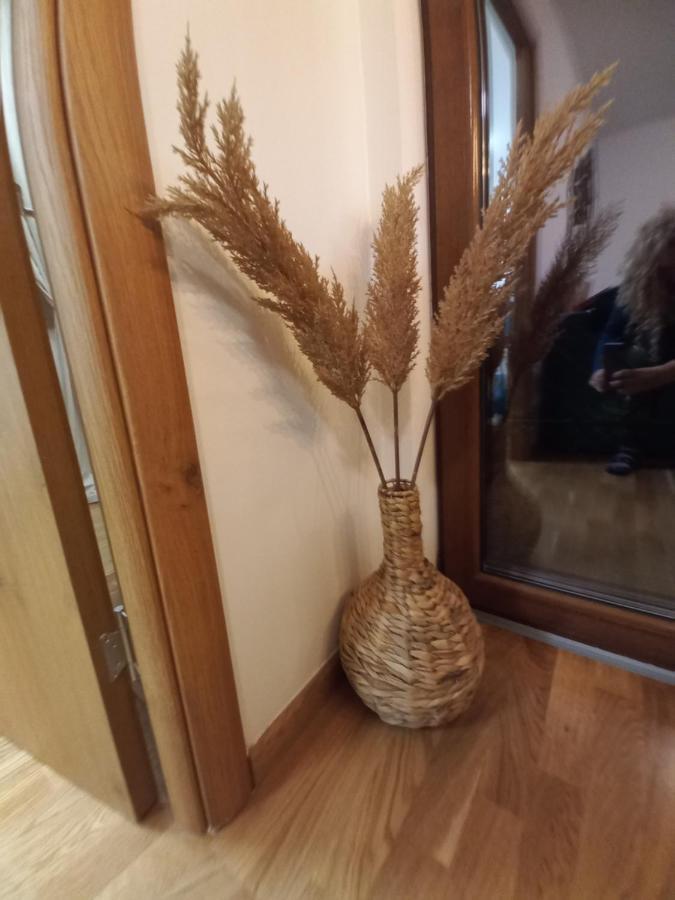 Zlatibor Apartman Luxury & Spa Dijana ภายนอก รูปภาพ
