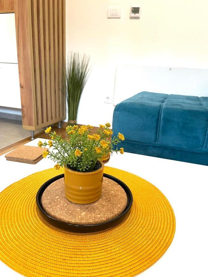 Zlatibor Apartman Luxury & Spa Dijana ภายนอก รูปภาพ