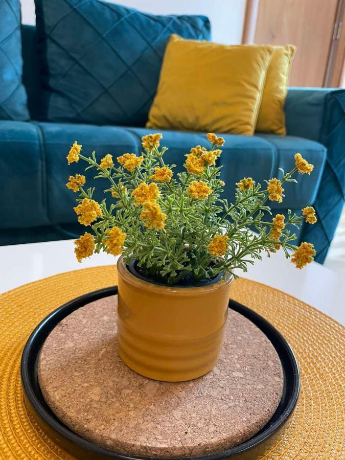 Zlatibor Apartman Luxury & Spa Dijana ภายนอก รูปภาพ