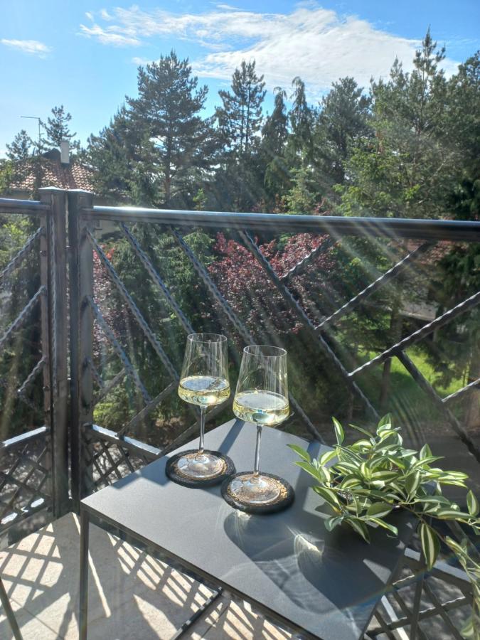 Zlatibor Apartman Luxury & Spa Dijana ภายนอก รูปภาพ